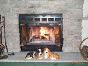 bassetsbythefire.jpg